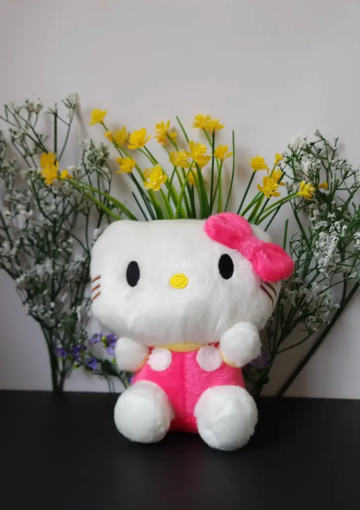 Peluche hello kitty 🐱