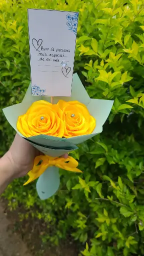 Rosas Eternas 🌹🌹